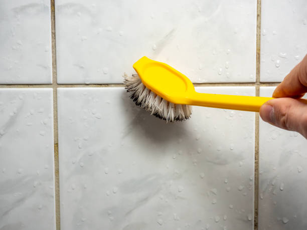Best Residential Mold Removal  in Myrtle Grove, FL