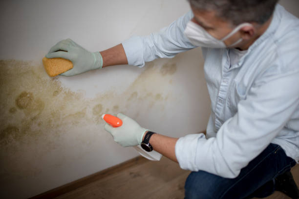 Best Water Damage Restoration  in Myrtle Grove, FL